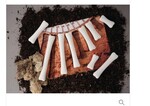Dinosaur Bones match and measure set