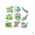 Life Cycle puzzle - Frog