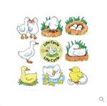 Life Cycle puzzle - Duck