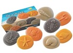 Lets Investigate Seashore stones