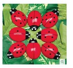 Ladybug Counting activity