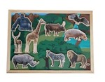 Magnetic  Wild Savanna Play set