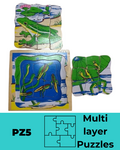 Frog Life Cycle Puzzle