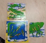 Frog Life Cycle Puzzle