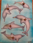 Dolphin Knob Puzzle