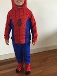 Spiderman Costume