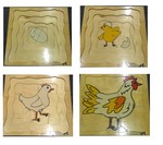 How a Chicken Grows Puzzle