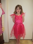 Fairy Dress