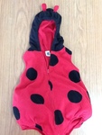 Ladybird costume