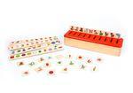 Educational Sorting Box