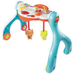 Little Friendlies 3-in-1 Baby Centre