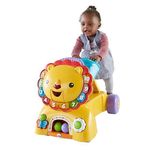 Lion 3 in 1 Walker