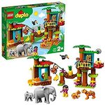 Tropical Island Duplo