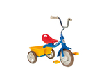Trike Transport Multi Colour