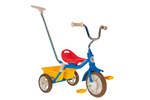 Trike Passenger Multi Colour