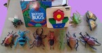 Backyard Bugs Story Bag