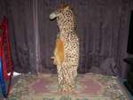 Giraffe Dress Up