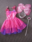 Pink Fairy Dress Up Kit