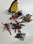 Insects