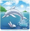 Dolphin Puzzle