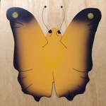 Butterfly life cycle layer puzzle 