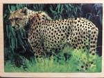 Cheetah Puzzle
