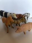 Farm Animals