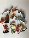 Sea creatures 