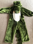 Crocodile suit
