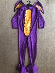 Dragon costume 