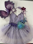 Fairy costume and accessories 