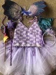 Purple fairy costume and accessories size M 