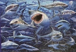 Shark Puzzle