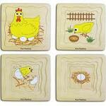 Fun factory chicken lifecycle layer puzzle 
