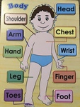 Body parts / word puzzle 