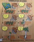 Seed Germination Puzzle