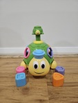 Turtle Shape Surprise