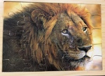 Lion Puzzle