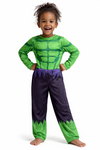 Marvel Avengers Hulk Costume 