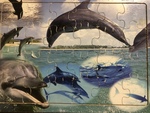 Wooden Dolphin Puzzle