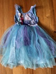 Frozen Dress Size 7 