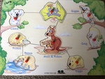 Aussie Bush Babies peg puzzle 