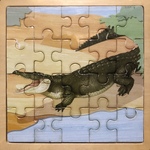 Crocodile Puzzle