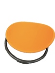 Gonge carousel balance disc 