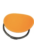 Gonge carousel balance disc 