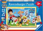 Paw Patrol Super Detectives 2x12 Puzzle