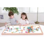 Light table plus accessories box and X-rays sleeve