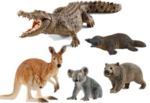 Australian Animals Set