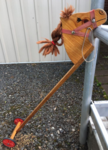 Hobby Horse