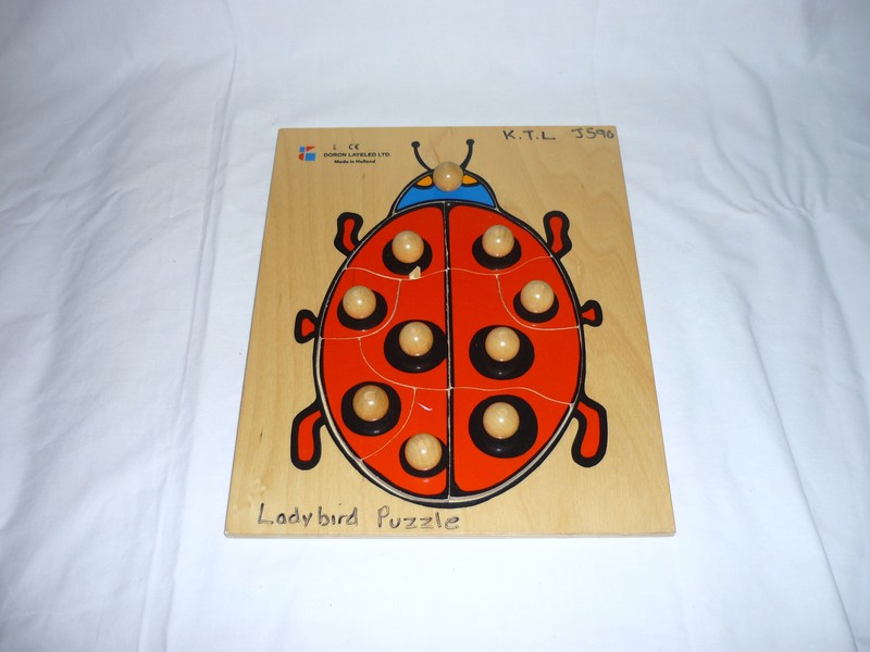 J590: Ladybird Puzzle